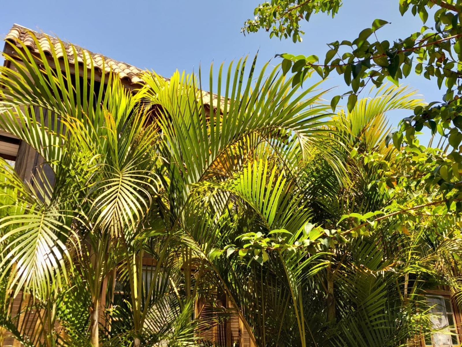 Recanto Das Bromelias Chales Guarda do Embaú Екстериор снимка